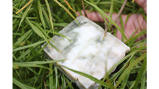 Young Fresh And Cool Soap Bar
